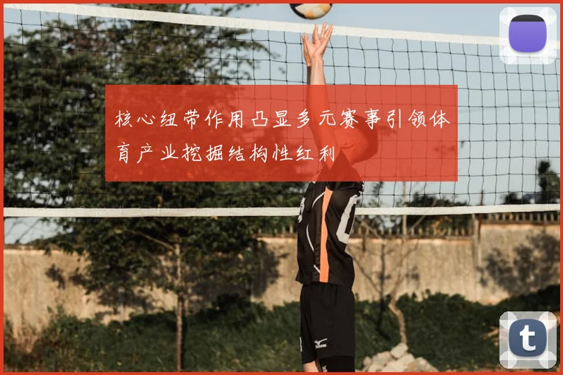 核心纽带作用凸显多元赛事引领体育产业挖掘结构性红利